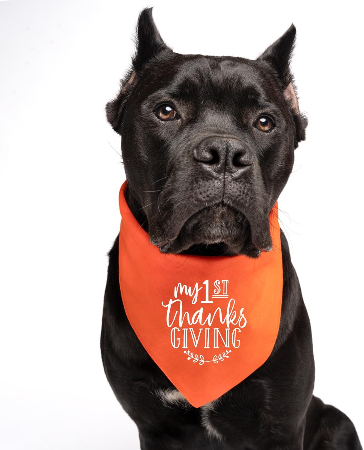 My First Thanksgiving Dog Bandana | 100% Cotton Adjustable Triangle | Made in USA | Fall | Thanksgiving | Turkey Day | Gobble Feast |Orange, X-Small (187)