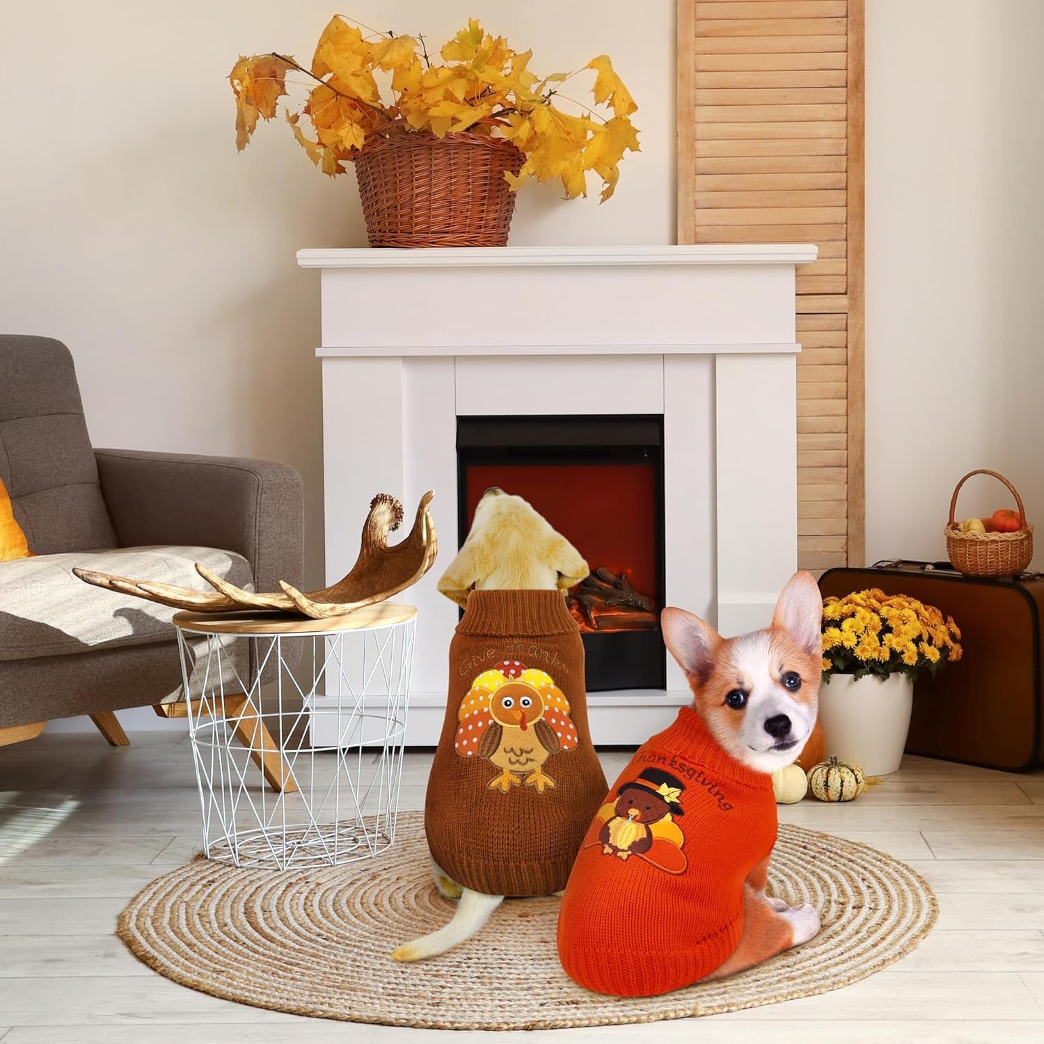 2 Pack Thanksgiving Dog Sweaters Turkey Puppy Dog Clothes Pet Warm Knitwear for Thanksgiving, Holiday, Party Gift, Orange, Brown